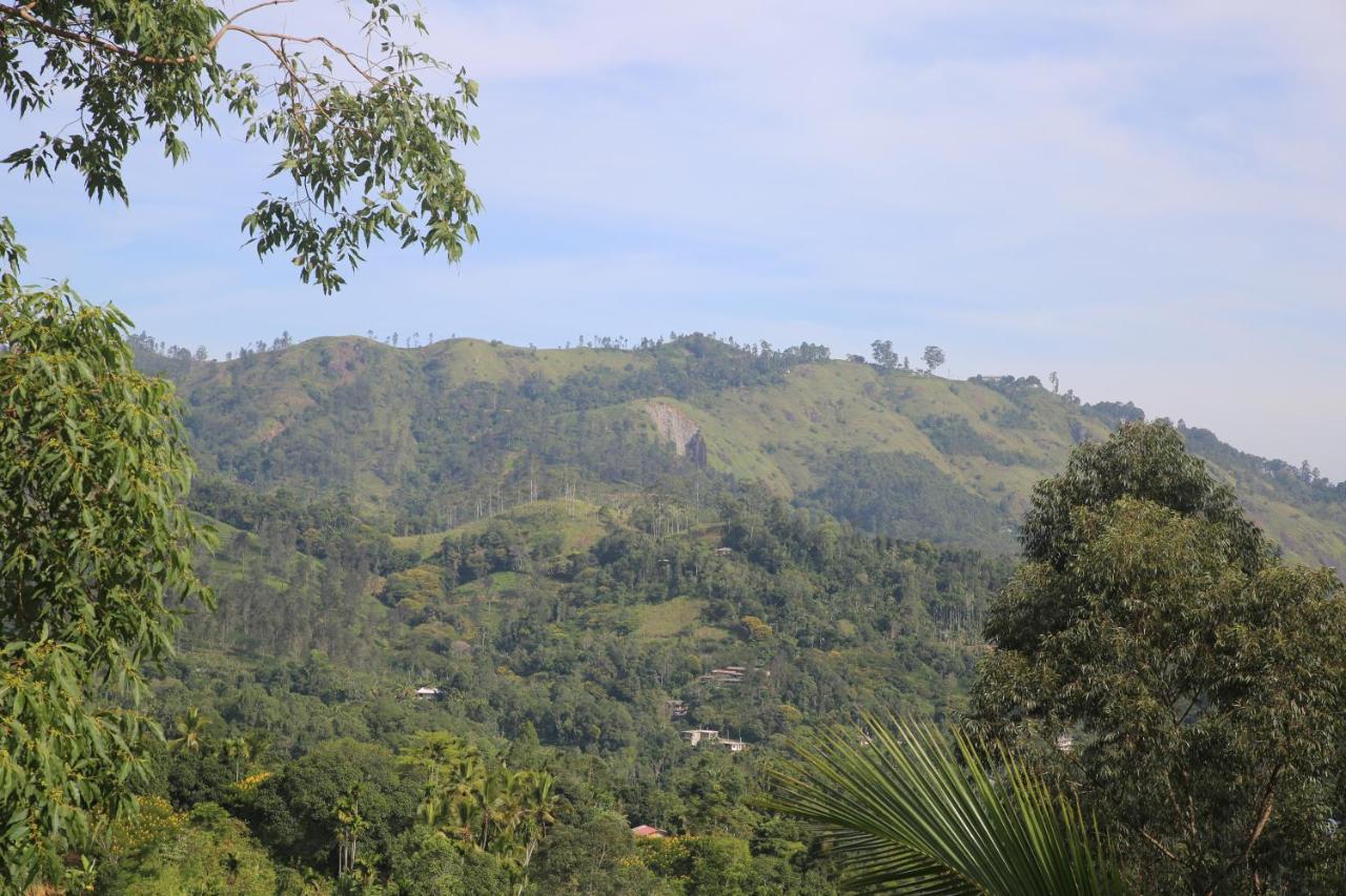 Senavi 9 Arch Homestay Ella Luaran gambar